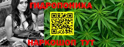 гашик Краснодар