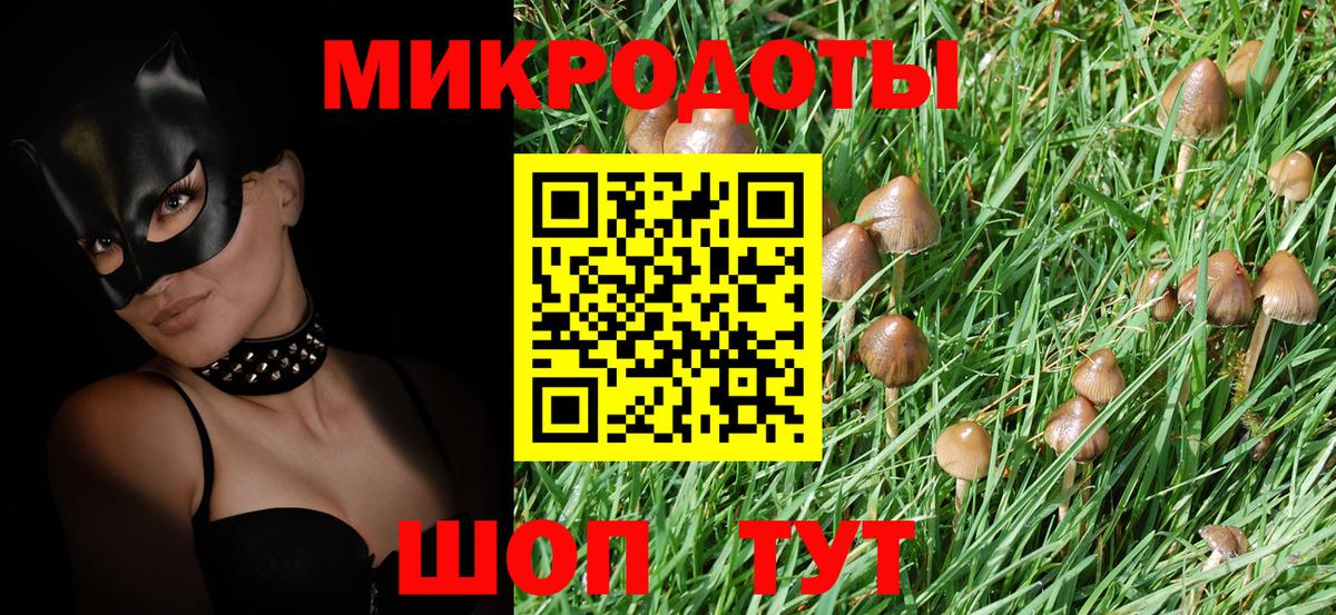 Галлюциногенные грибы GOLDEN TEACHER  Вход с VPN  Ипатово 